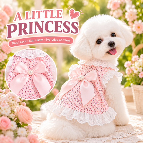Princess Bowknot Lace Pet Dress – Cute Floral Print Summer Puppy Dress with Pearls & Ruffle Hem – Soft Breathable Cotton Dog Clothes for Small Breeds & Cats – Sweet Princess Style Pet Apparel for Daily Wear, Parties, and Photoshoots (Pink/Blue, XS-XL)