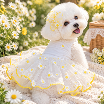 Daisy Tulle Princess Pet Dress – Cute White Summer Puppy Dress with Floral Daisy Tutu Skirt &amp; Hair Bow – Soft Breathable Cotton Pet Apparel for Small Dogs and Cats – Perfect for Weddings, Photoshoots, and Spring/Summer Outings